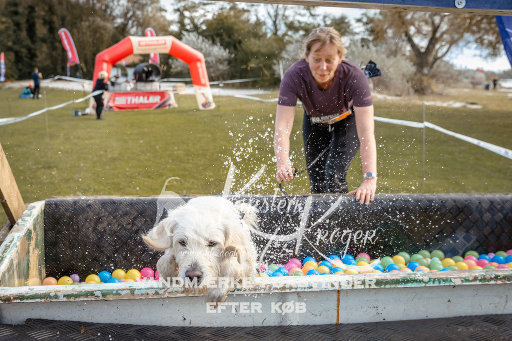 1402_ZZ93449-2 | kk-dogfotos