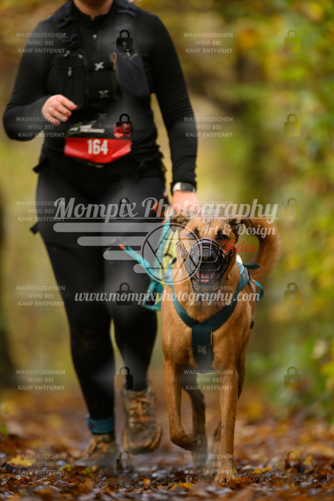 MompixPhotography_CD7S_DI_CCL-196 | mompixphotography