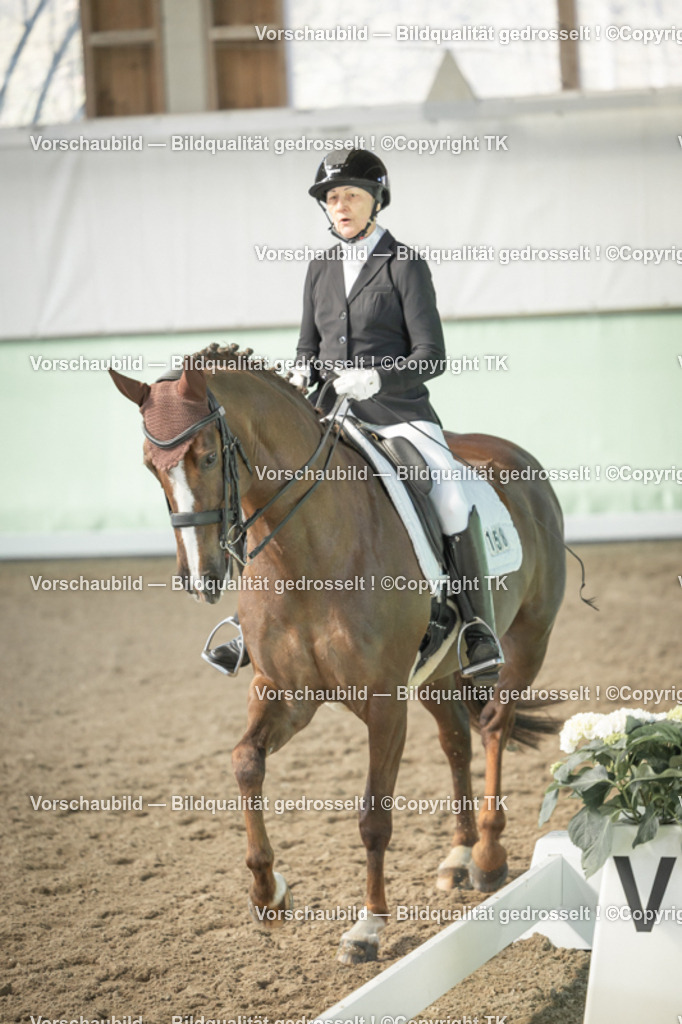 _D5A1186 | Emotionale Pferde- & People-Fotografie rund um Heidelberg, Leimen & Umgebung. Natürliche Fotos von Pferd, Mensch & Familie. Jetzt Termin sichern!