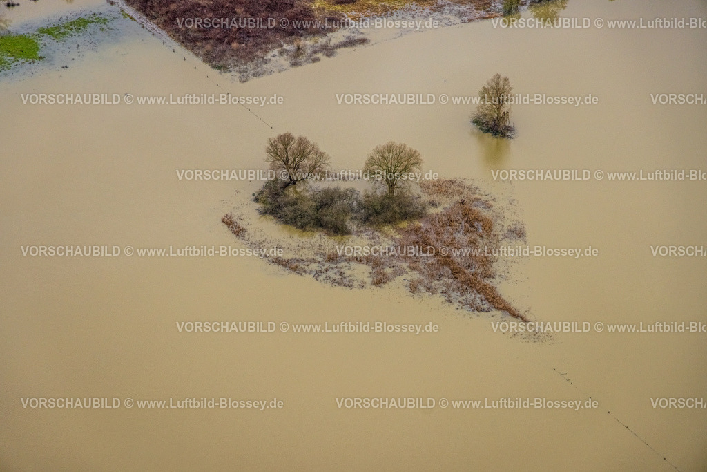 Hamm231201157 | Luftbild vom Hochwasser der Lippe, Weihnachtshochwasser 2023, Fluss Lippe tritt nach starken Regenfällen über die Ufer, Überschwemmungsgebiet Lippeaue Schlagmersch, Bäume im Wasser in Herzform, Formen und Farben, Datteln-Hamm-Kanal, Stadtbezirk Heessen, Hamm, Ruhrgebiet, Nordrhein-Westfalen, Deutschland