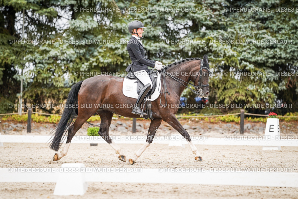 DSC07671 | Pferdegrafie