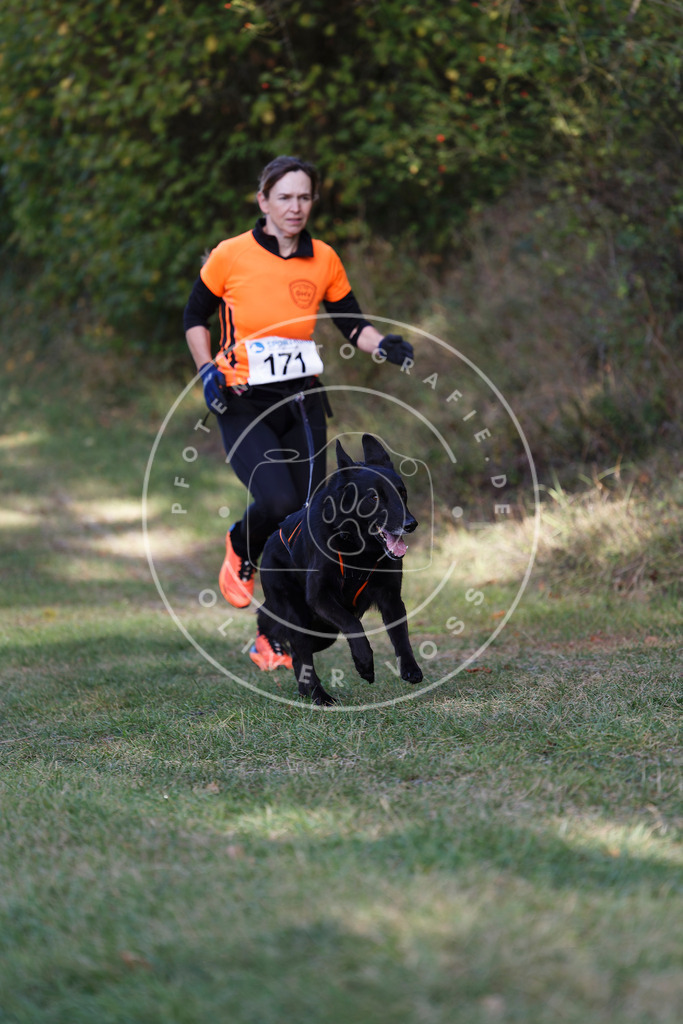 0L8A5363 | Hundefotografie, Tierfotograf, Pfotenfotografie, Fotoshooting Hund, Hunde Portrait, Hundesport, Hundeportraits, Heideshooting, Hunde, Sportfotograf, Hundefotograf, Turnierhundsport, THS,  - Realisiert mit Pictrs.com
