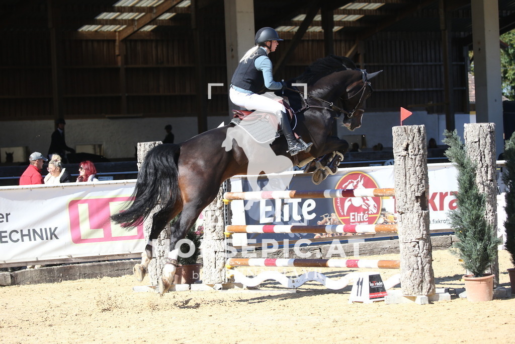 DL2Q2819 | Willkommen bei Brunnmayr - Design & Fotografie – Ihrem Spezialisten für Reitturniere und Pferdeveranstaltungen in Oberösterreich, Salzburg und Bayern! Seit über 17 Jahren sind wir leidenschaftlich dabei.