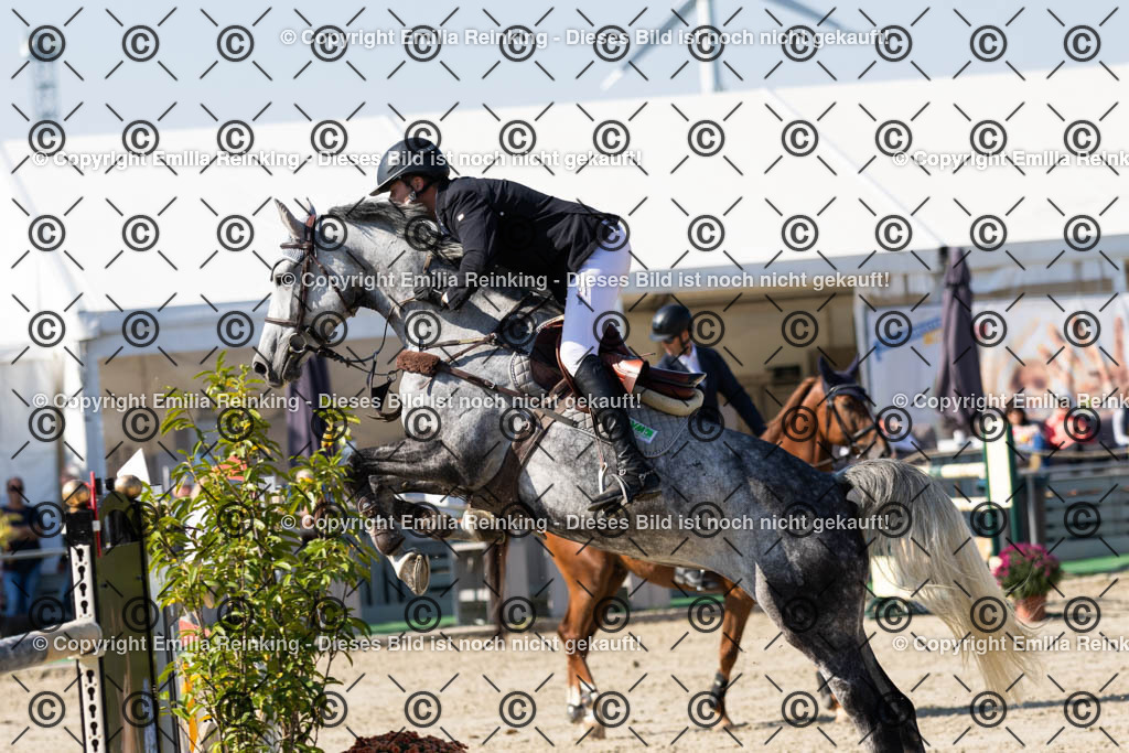 CL5A6446 | Emilia Reinking Fotografie - Realisiert mit Pictrs.com