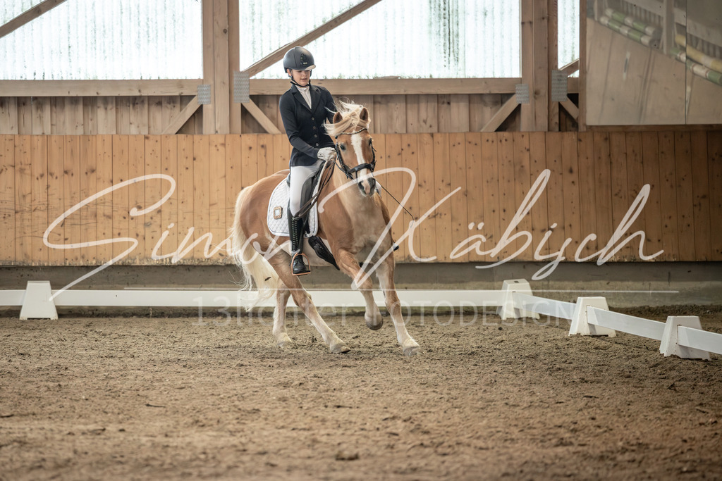 20251011-_3LI6580 | Tierfotografie Pferde, Hunde, Katzen, Haustiere.
Turnierfotografie Reitturniere, Reiten, Springreiten, Dressur in Hanau, dem Main-Kinzig-Kreis und dem Rhein-Main- Gebiet um Frankfurt