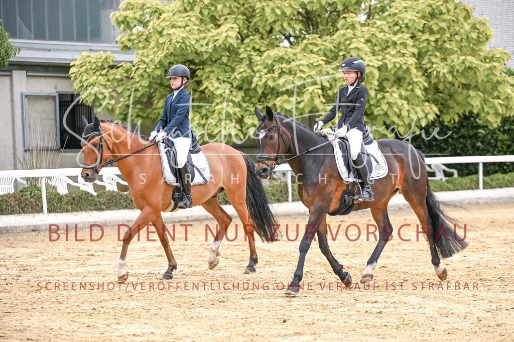 Schugtsche-Aluta25-42.EDressur -336 | Schugtsche Fotografie - Realisiert mit Pictrs.com