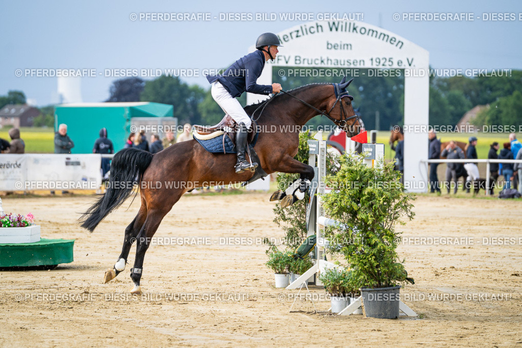 DSC03726 | Pferdegrafie