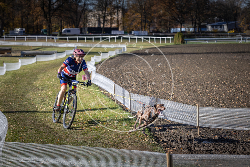 CaniXpix_DV3A6498 | Hundefotografie, Tierfotograf, Pfotenfotografie, Fotoshooting Hund, Hunde Portrait, Hundesport, Hundeportraits, Heideshooting, Hunde, Sportfotograf, Hundefotograf, Turnierhundsport, THS,  - Realisiert mit Pictrs.com