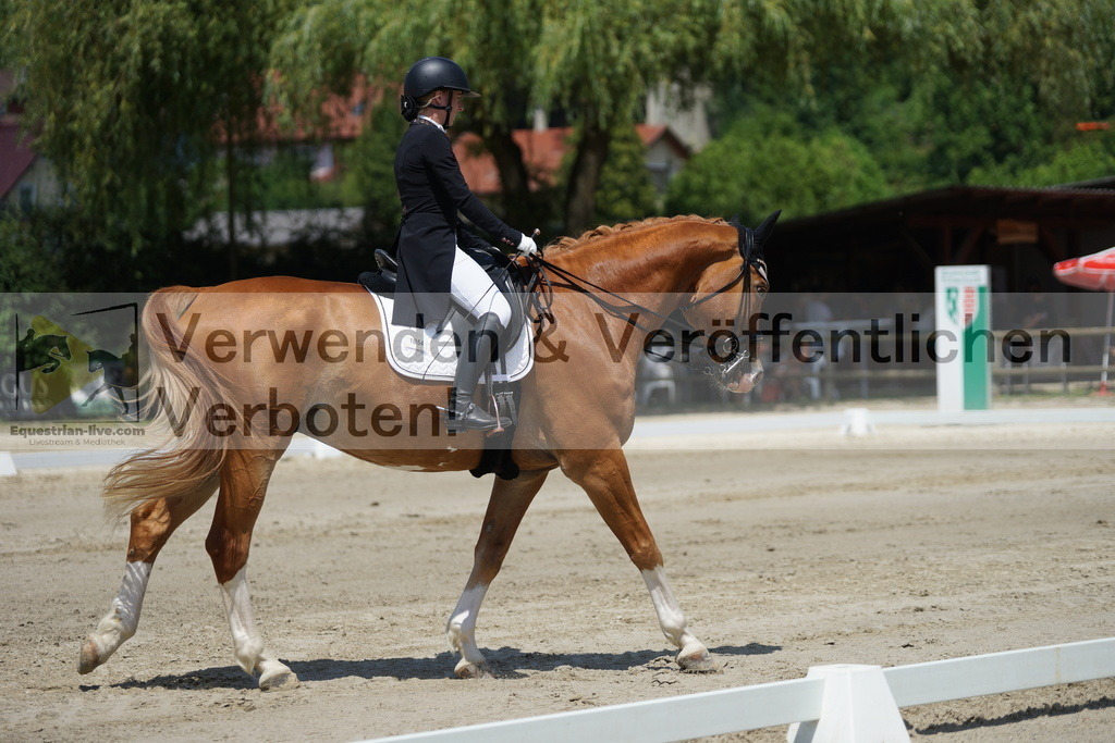 DSC05018 | equestrian-live-com