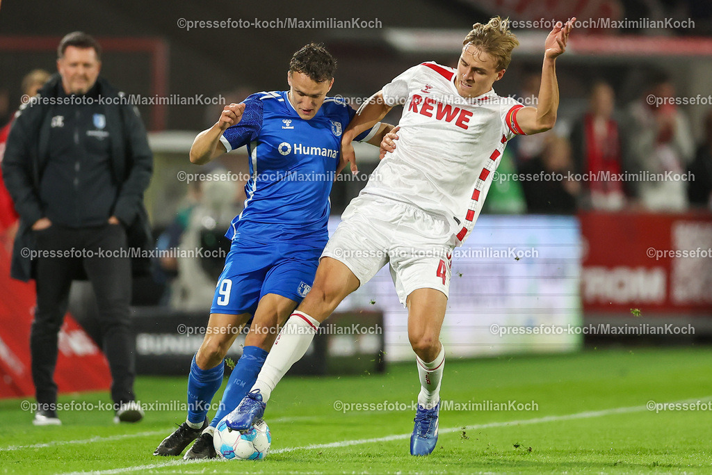 Koe14092402086 | 14.09.2024, 2. Fußball Bundesliga, 1. FC Köln - 1. FC Magdeburg, RheinEnergieSTADION, Saison 2024 2025: Zweikampf Martijn Kaars (1.FC Magdeburg #9) gegen Timo Hübers (1.FC Köln #4)DFB regulations prohibit any use of photographs as image sequences and or quasi-video.
