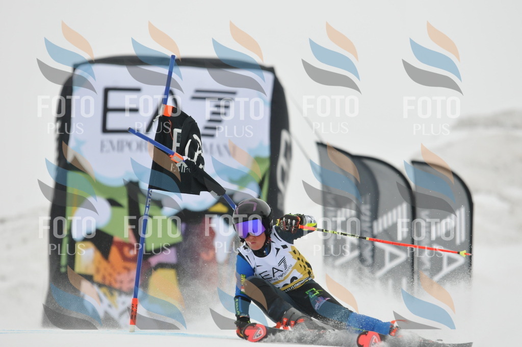 DSC_8507 | holidayphoto