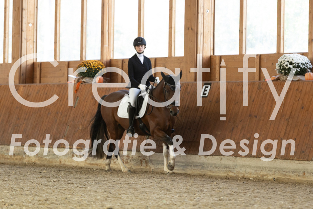 IMG_6186 | Creatify Fotografie