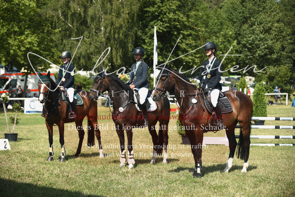 DSC_2637 | Pferde- und Turnierfotografie in Westsachsen. Pferdeportraits, Auftragszeichnungen und intuitive Kunst.