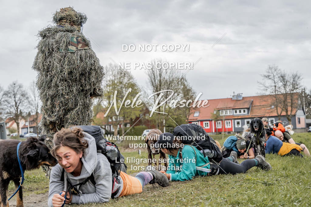NR__2698 | nelerasche