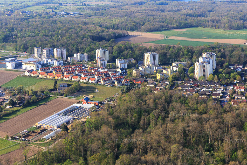 Luftbild: Wohnhochhäuser an der Schauinslandstr in Umkirch im Bundesland Baden-Württemberg in Deutschland. Foto: IMG_126700.jpg vom 25.04.2021 durch Werner Riehm/FLY-FOTO.de