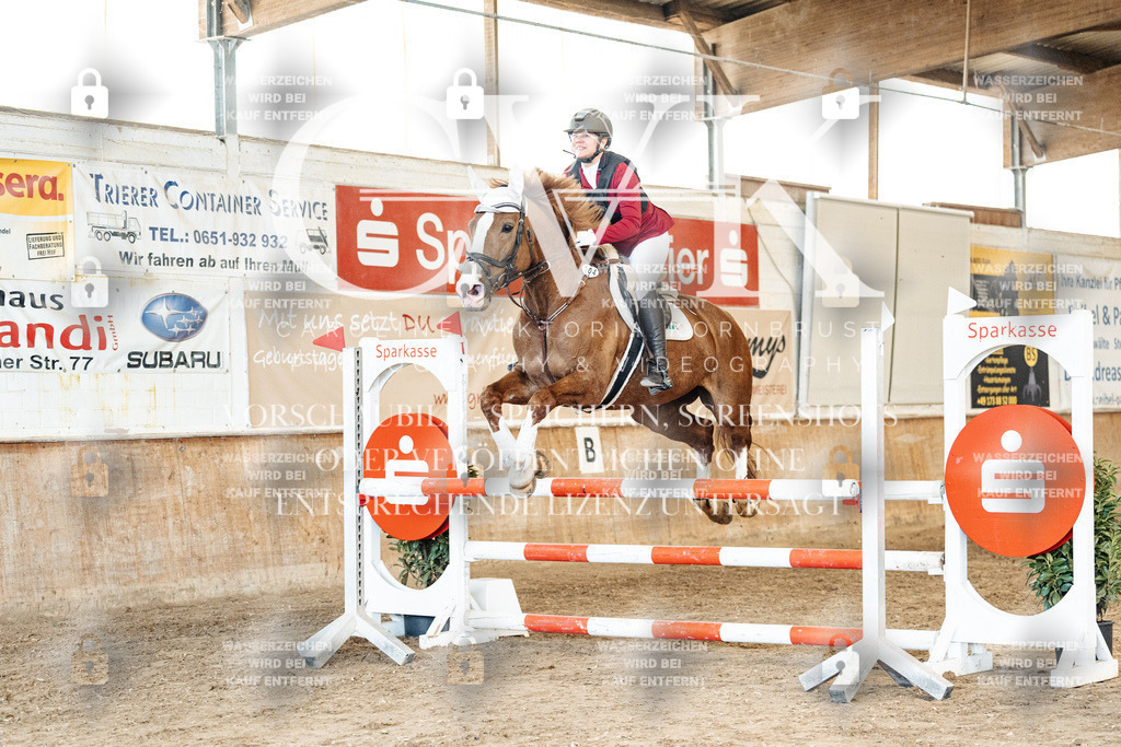 CK904996 | Turnierfotografie Pferdefotografie Trier Rheinland-Pfalz Pferdesport Reitsport Tierfotografie Sportfotografie Pferdevideo Pferdevideografie Equestrianvideography equestrianphotography  - Realized with Pictrs.com