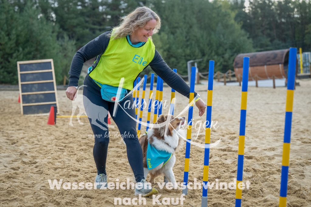 0915_ZZ92083-Bearbeitet | kk-dogfotos