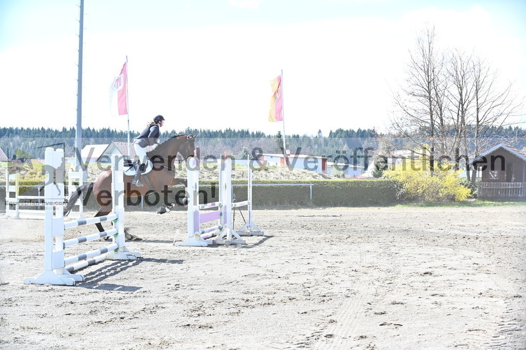 DSC_5270 | equestrian-live-com