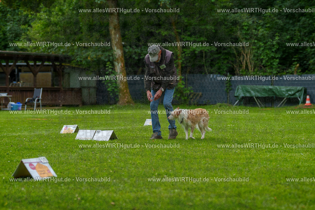 @allesWIRTHgut_Tierfotografie - www.allesWIRTHgut.de - 7R501384 | Professionelle Tierfotografie in Mönchengladbach von Daniel Wirth (allesWIRTHgut). Liebevolle & natürliche Bilder von Hunden & Katzen für unvergessliche Erinnerungen.