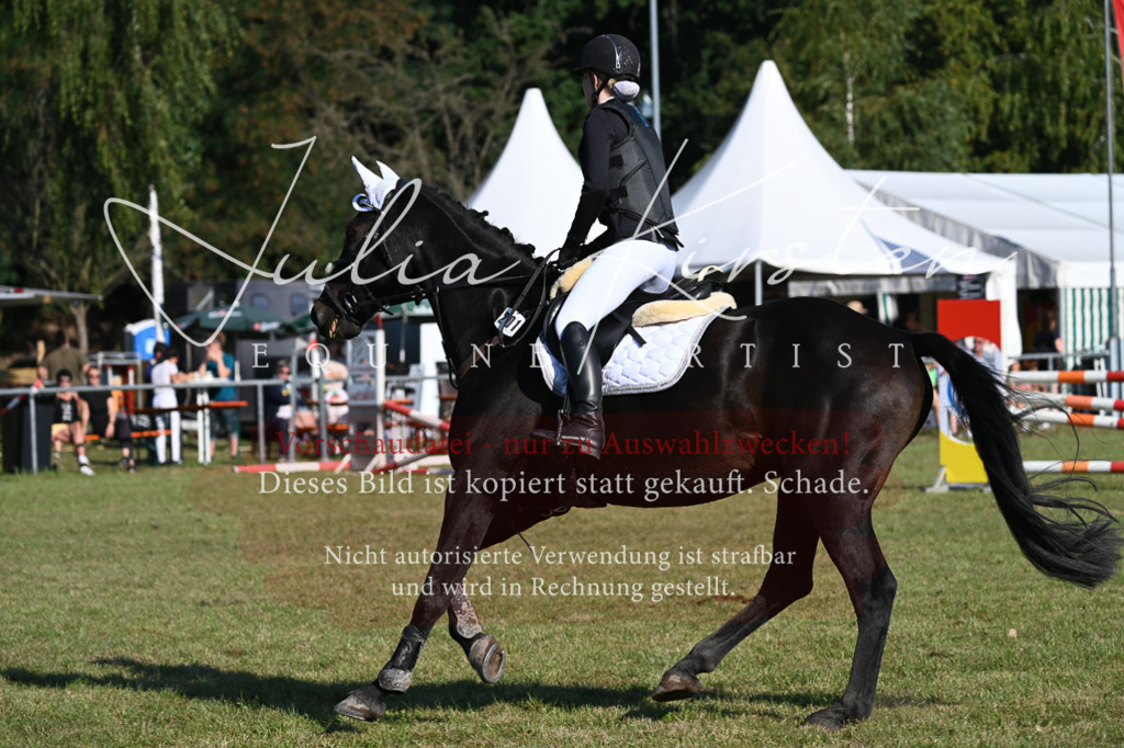 DSC_5134 | Pferde- und Turnierfotografie in Westsachsen. Pferdeportraits, Auftragszeichnungen und intuitive Kunst.