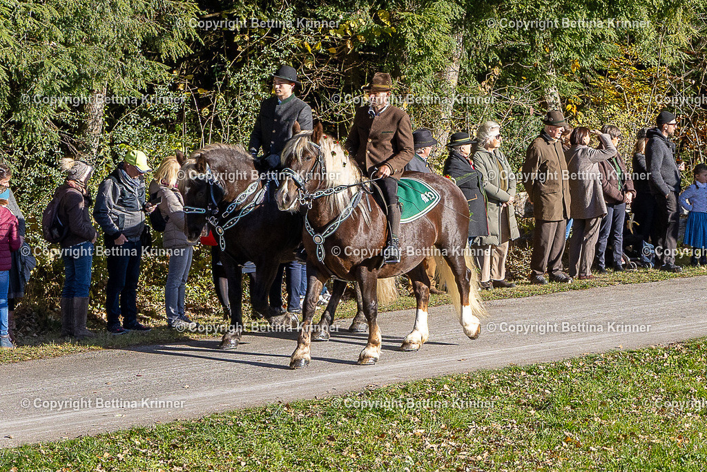 LBT25-263 | foto-bettina-krinner - Realisiert mit Pictrs.com