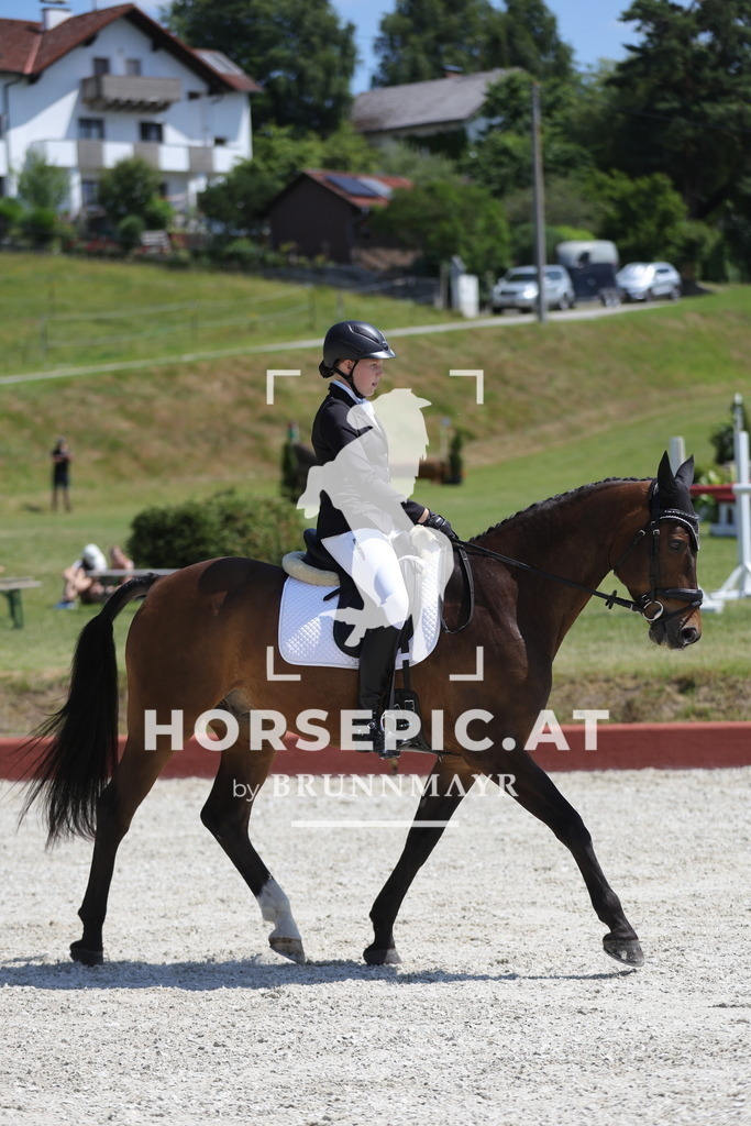 0P6A0866 | Willkommen bei Brunnmayr - Design & Fotografie – Ihrem Spezialisten für Reitturniere und Pferdeveranstaltungen in Oberösterreich, Salzburg und Bayern! Seit über 17 Jahren sind wir leidenschaftlich dabei.