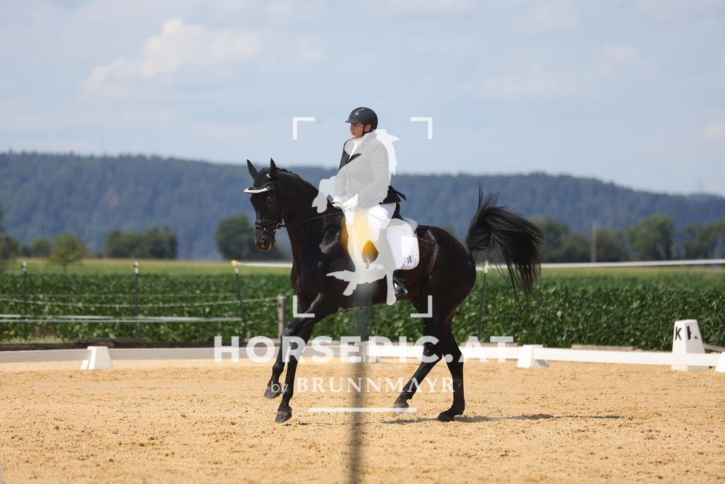 0P6A5644 | Willkommen bei Brunnmayr - Design & Fotografie – Ihrem Spezialisten für Reitturniere und Pferdeveranstaltungen in Oberösterreich, Salzburg und Bayern! Seit über 17 Jahren sind wir leidenschaftlich dabei.
