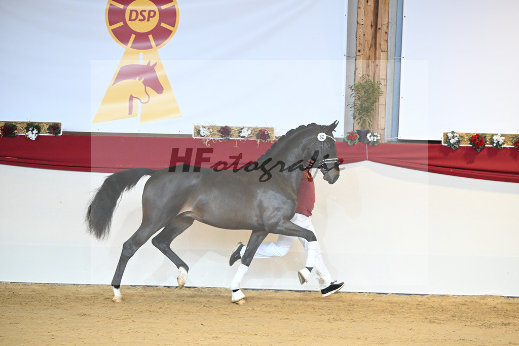 Kat-Nr. 62 Le Formidable_Rothenberger_1231474 | hf-fotografie - Realisiert mit Pictrs.com