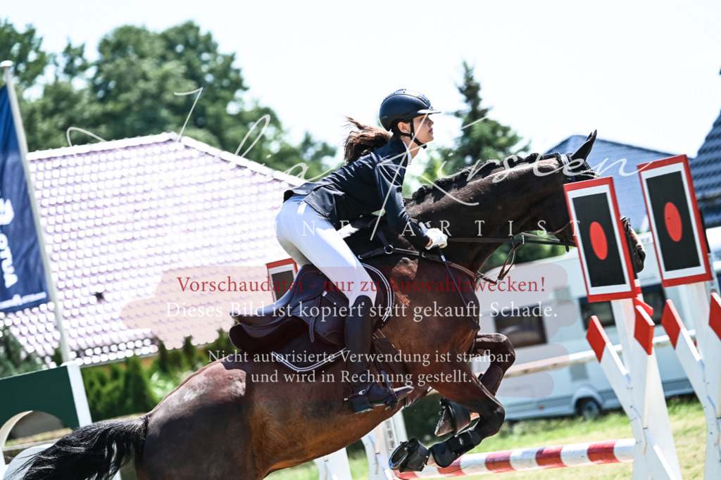 DSC_0440 | Pferde- und Turnierfotografie in Westsachsen. Pferdeportraits, Auftragszeichnungen und intuitive Kunst.