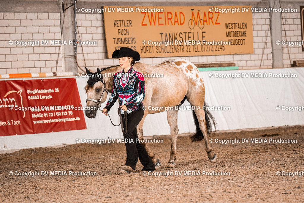 ZH100217 | dv-media-shop - Realisiert mit Pictrs.com