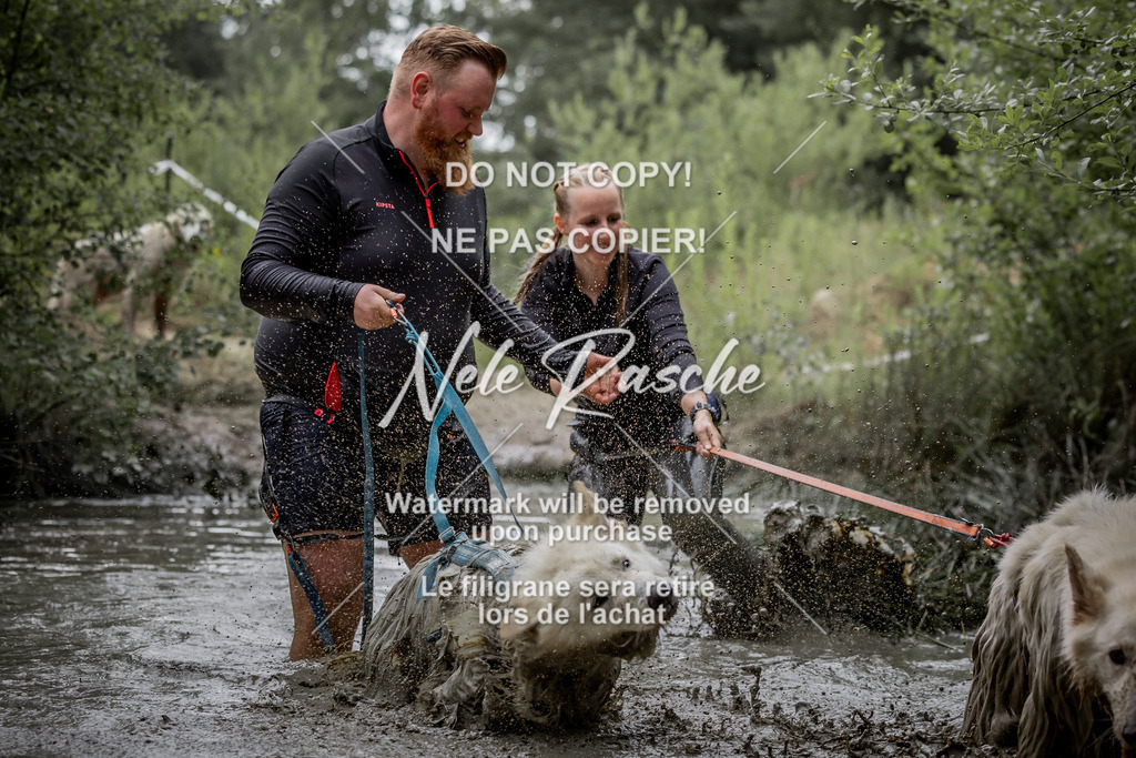 nelerasche_so0800-0930_460 | nelerasche