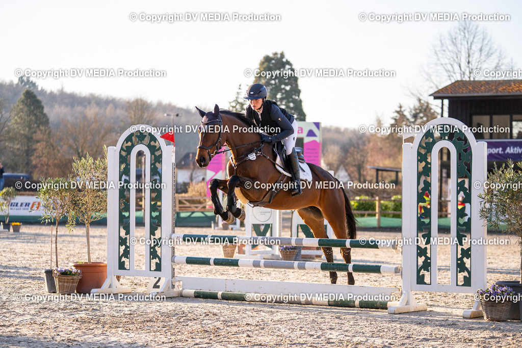 DSC-213 | dv-media-shop - Realisiert mit Pictrs.com