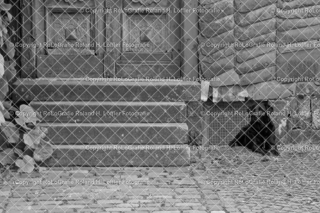 Altes-Haus-05-G | Altes Haus, Hauseingang mit Steintreppe, daneben sitzt ein schwarzer Labrador - Realisiert mit Pictrs.com