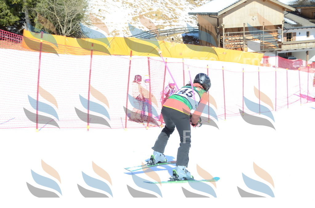 C6078 | holidayphoto