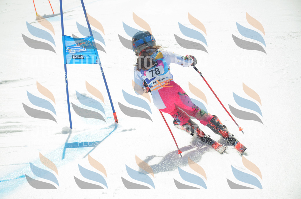 _ELE5534 | holidayphoto