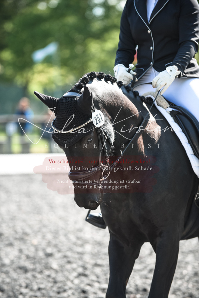 DSC_8805 | Pferde- und Turnierfotografie in Westsachsen. Pferdeportraits, Auftragszeichnungen und intuitive Kunst.