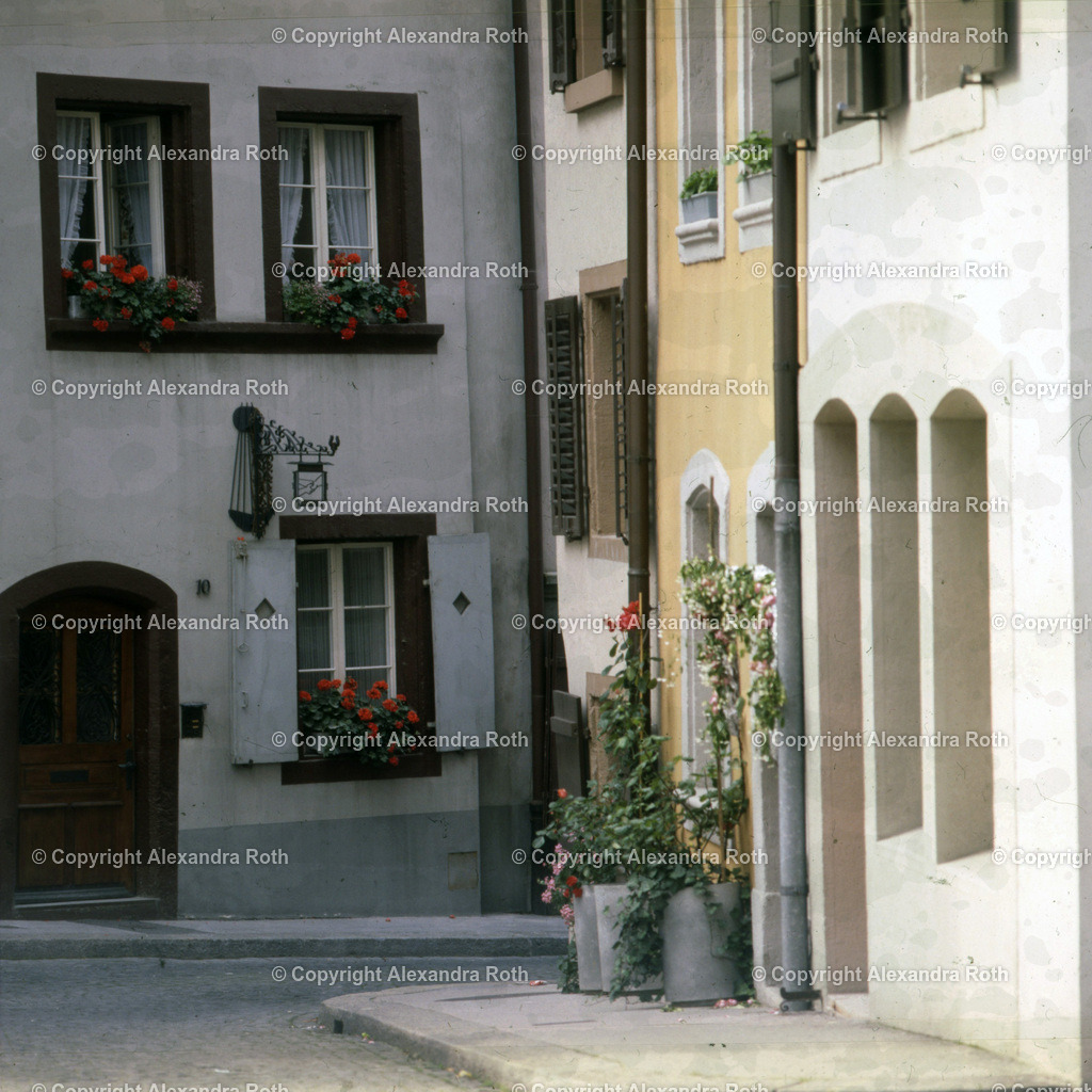 Aarau_0962 | onlineshop - Realisiert mit Pictrs.com