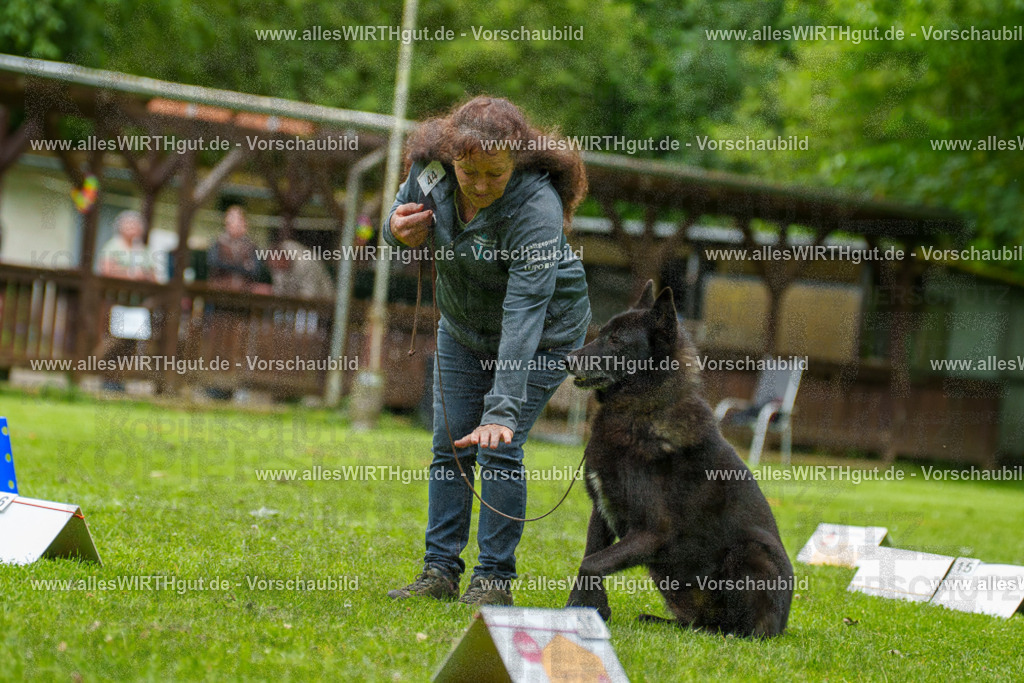 @allesWIRTHgut_Tierfotografie - www.allesWIRTHgut.de - 7R500226 | Professionelle Tierfotografie in Mönchengladbach von Daniel Wirth (allesWIRTHgut). Liebevolle & natürliche Bilder von Hunden & Katzen für unvergessliche Erinnerungen.