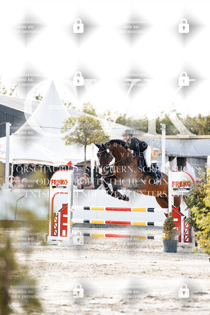 CK906377 | Turnierfotografie Pferdefotografie Trier Rheinland-Pfalz Pferdesport Reitsport Tierfotografie Sportfotografie Pferdevideo Pferdevideografie Equestrianvideography equestrianphotography  - Realisiert mit Pictrs.com