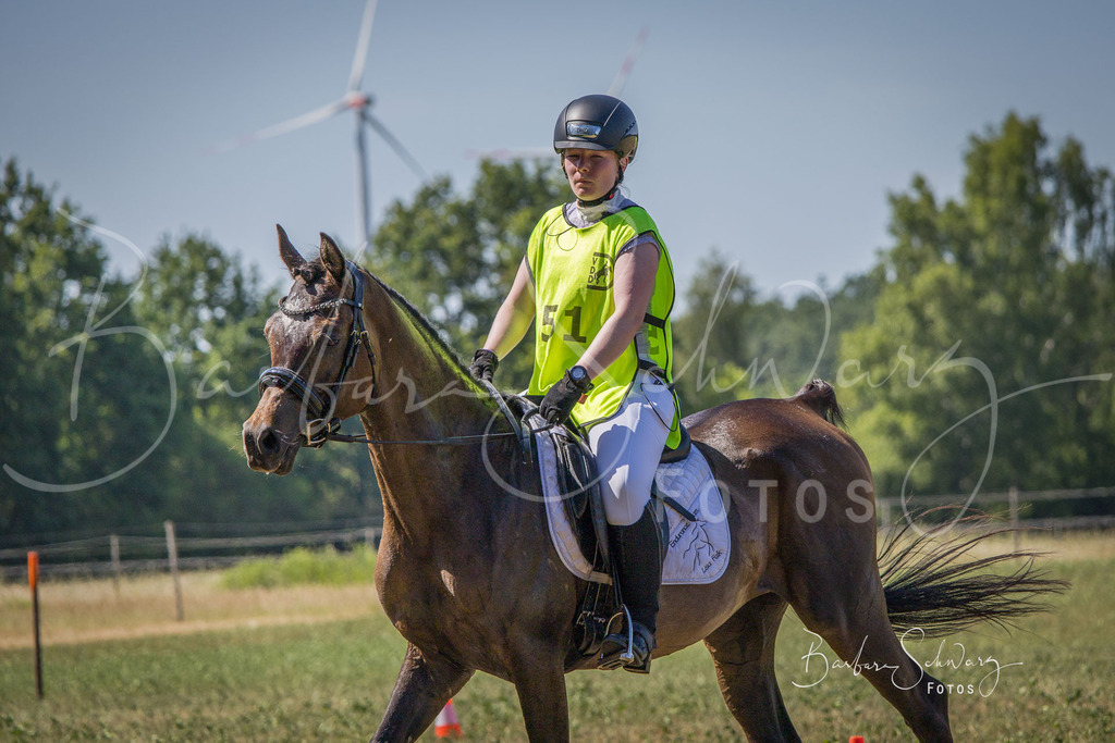 CJP_2026-06-26_188 | Stimmungsvolle Fotografie von Pferden, fotografische Begleitung von Veranstaltungen, Golfturnieren und Distanzritten - Realisiert mit Pictrs.com