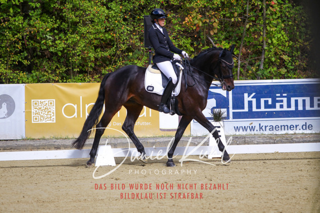 DKP40767 | Turniersportfotografie; Pferdefotografie; Dressurfotografie