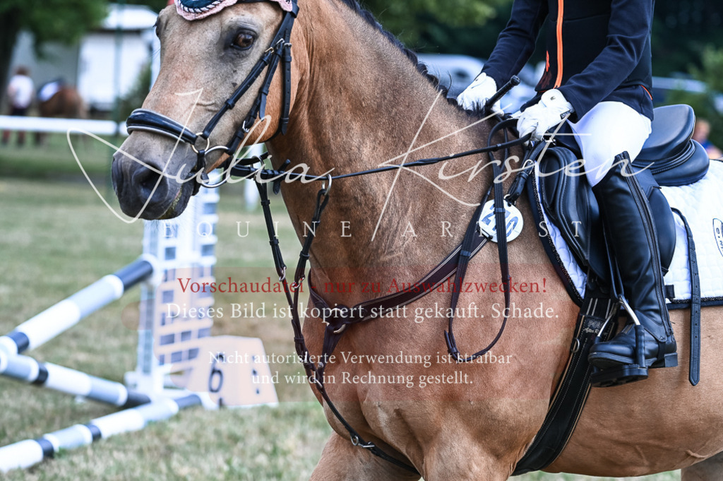 DSC_9697 | Pferde- und Turnierfotografie in Westsachsen. Pferdeportraits, Auftragszeichnungen und intuitive Kunst.