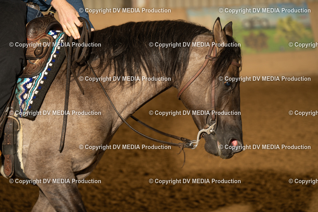 LAU00167 | dv-media-shop - Realisiert mit Pictrs.com