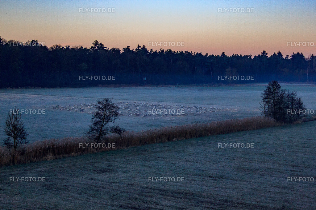 Neugraben in der Otterbachniederung im Morgendunst | Luftbild: Neugraben in der Otterbachniederung im Morgendunst in Freckenfeld im Bundesland Rheinland-Pfalz in Deutschland. Foto: IMG_63024.jpg vom 20.03.2014 durch Werner Riehm/FLY-FOTO.de - Realisiert mit Pictrs.com