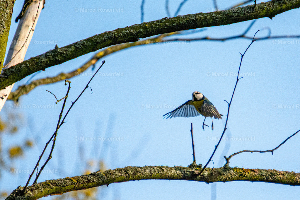 _DSC5067 | foto-rosenfeld