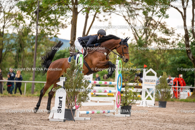 Eppelheim Tag 2-726 | dv-media-shop - Realisiert mit Pictrs.com