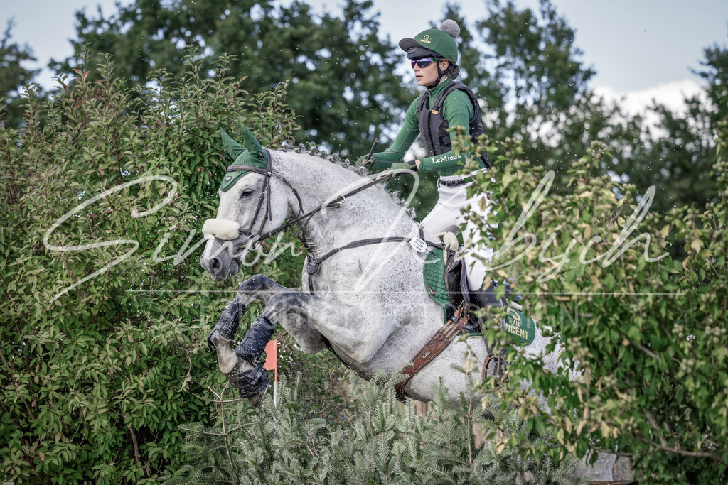 20250906-_3LI6987 | Tierfotografie Pferde, Hunde, Katzen, Haustiere.
Turnierfotografie Reitturniere, Reiten, Springreiten, Dressur in Hanau, dem Main-Kinzig-Kreis und dem Rhein-Main- Gebiet um Frankfurt