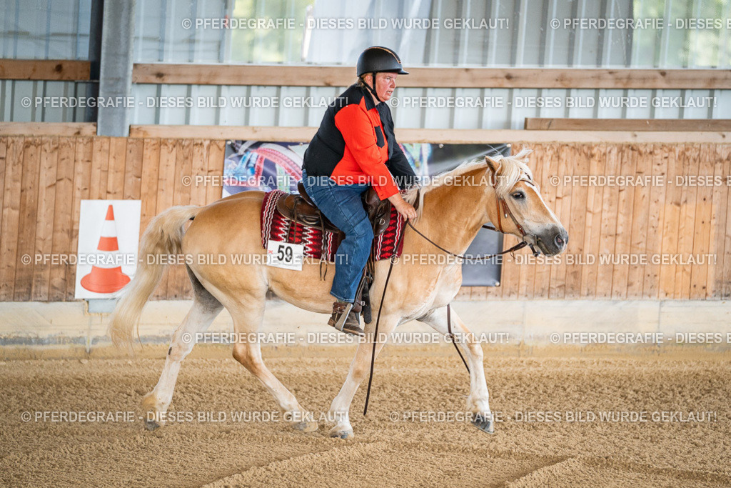 DSC01511 | Pferdegrafie