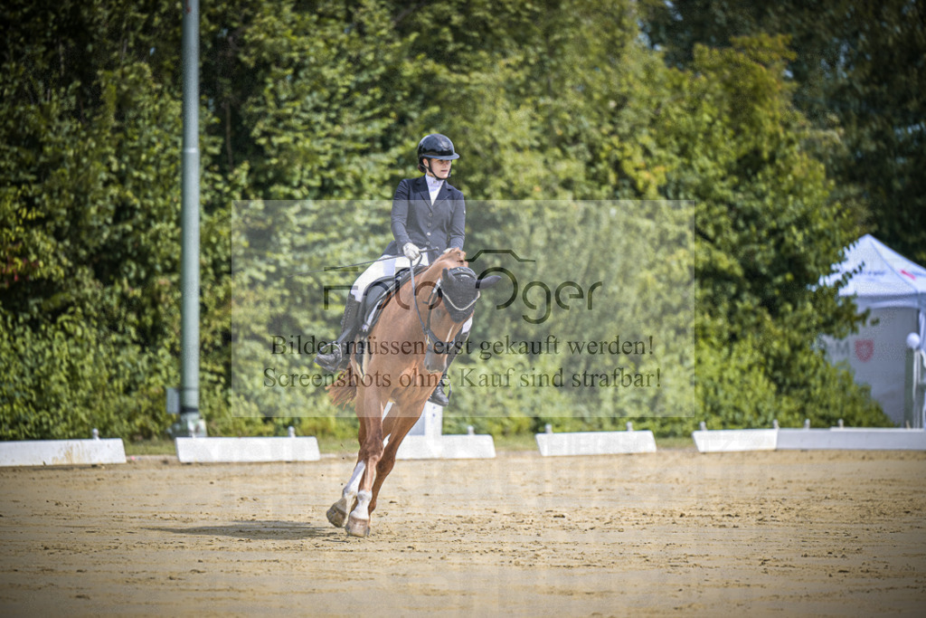 DOS_9769 | Entdecke hochwertige Reitturnierfotos von Foto Oger. Professionell, emotional und authentisch – jetzt Lieblingsmomente im Shop bestellen.Deutschlandweite Turnierfotografie. - Realisiert mit Pictrs.com