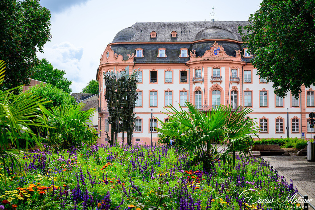 DSC_3273 | Fotografien, Fotos und Bilder aus Mainz, Frankfurt, Wiesbaden und anderen Orten auf der Welt - Fotografiert von Darius Metzner